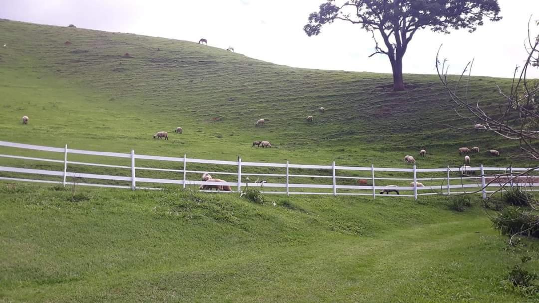 Sitio Santa Helena Vale Dos Melos Casa de férias Campos do Jordão