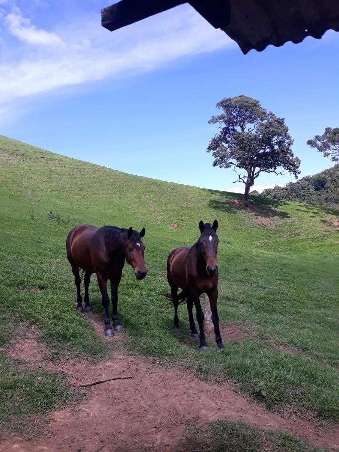 Casa de férias Sitio Santa Helena Vale Dos Melos Campos do Jordão